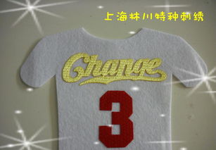 熱轉印彩色仿繡花3D印標 價格、廠家與圖片全解析